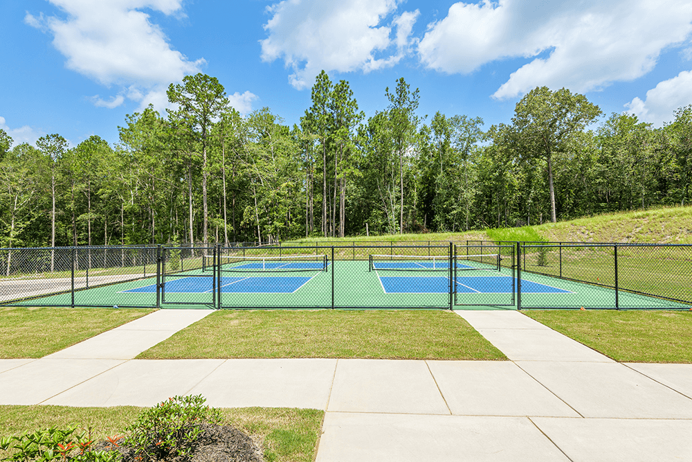 Clearwater Preserve Pickle Ball