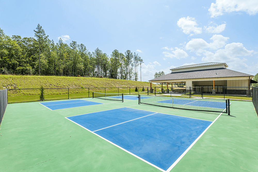 Clearwater Preserve Pickle Ball