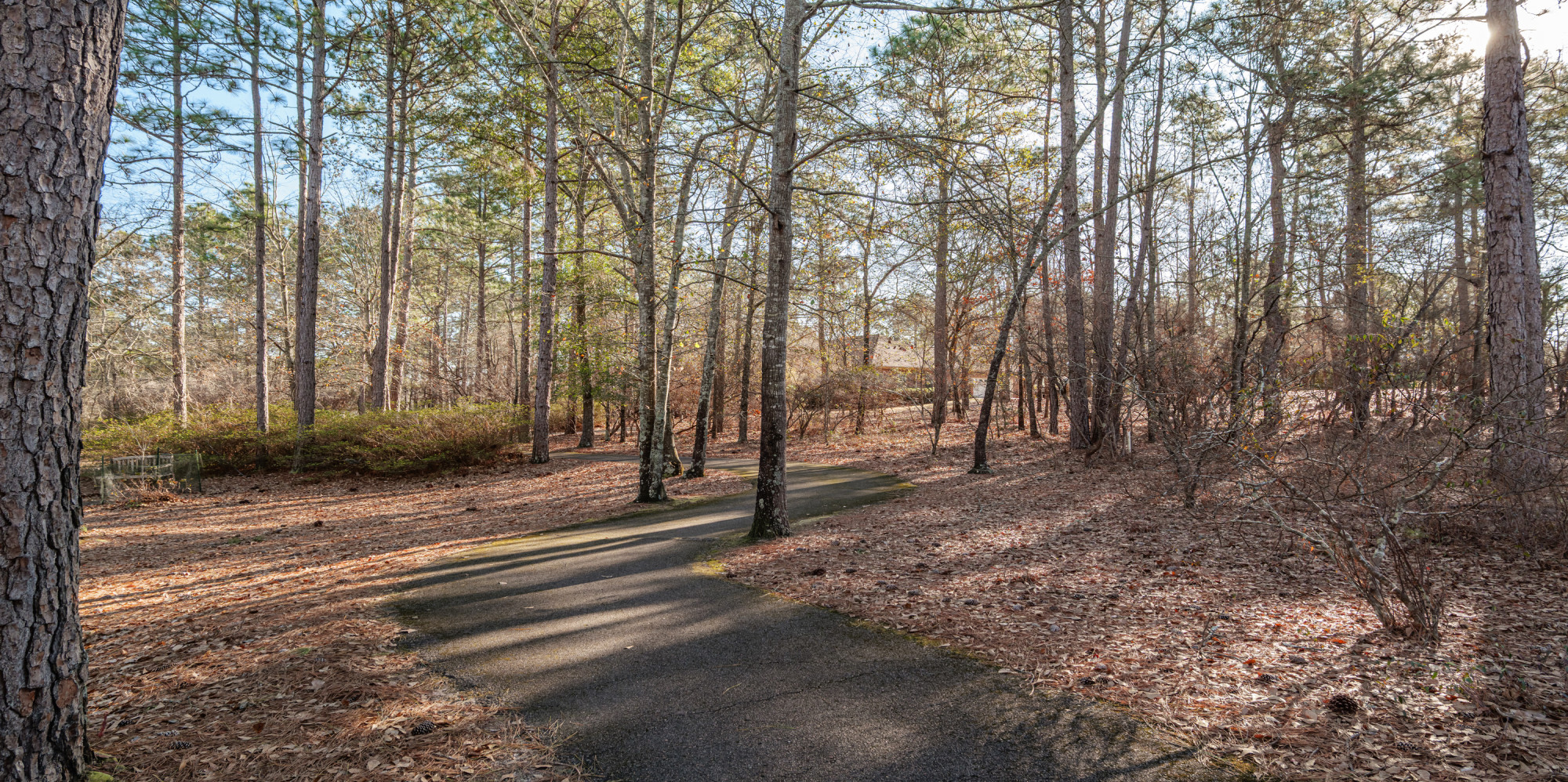 trail