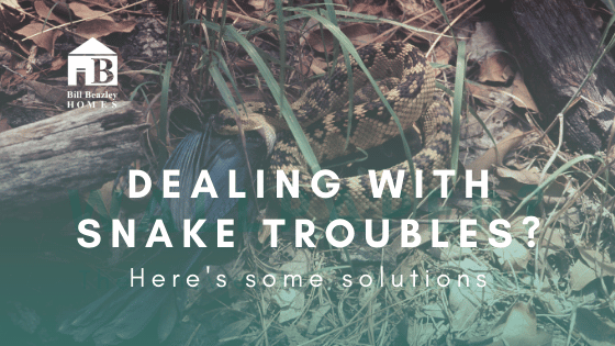 Snake Trouble solutions banner