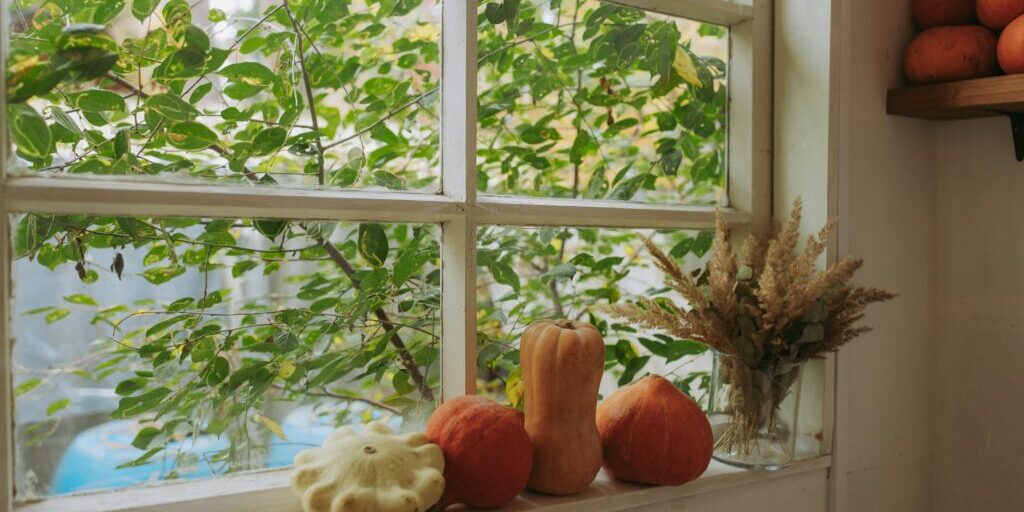 pumpkins on window